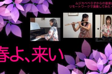 春よ、来い / 松任谷由実　～フルート・ピアノ・パーカッション～【リモートワークで演奏してみたvol.17】
