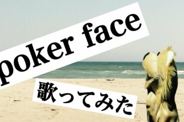 poker face　/　浜崎あゆみ　をパペットがアカペラで歌ってみた