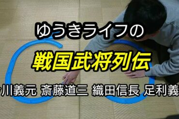 戦国武将列伝 今川義元 斎藤道三 織田信長 足利義昭