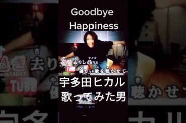 Goodbye Happiness 宇多田ヒカル 歌ってみた 男  3