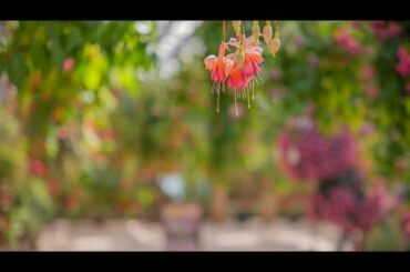 「Day23 ①」三浦春馬君はお父さんに霊界で会えたのか？・徳川埋蔵金・のお話他「アウトランダーPHEV ドライブ映像 」