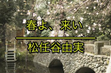 春よ、来い - 松任谷由実｜NHK朝の連続テレビ小説「春よ、来い」主題歌（フル）/ 歌詞付き
