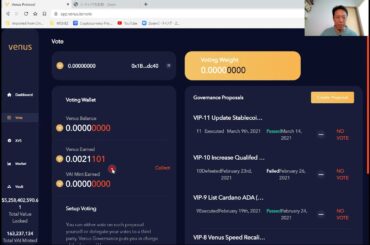 【暗号資産】DeFi　Venus Protocol 1日経過後の状況確認　仮想通貨