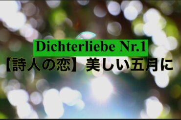 Dichterliebe『詩人の恋』Nr.1  "Im wunderschönen Monat Mai 美しい五月には　R・Schumann シューマン　Heine ハイネ　（改）
