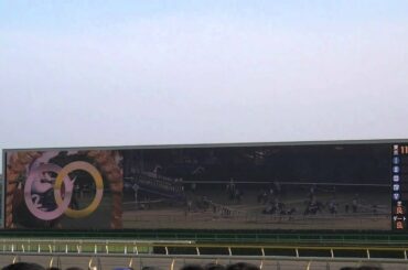 南部杯 ファンファーレ