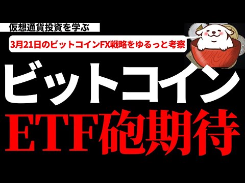 【仮想通貨ビットコイン,IOST,UNI,ENJ,CHZ】ビットコインはETF関連の好材料続出!週足確定までに上昇する兆しを見せるか?今の値動きから考察してみます。 【仮想通貨ビットコイン,IOST,UNI,ENJ,CHZ】ビットコインはETF関連の好材料続出!週足確定までに上昇する兆しを見せるか?今の値動きから考察してみます。