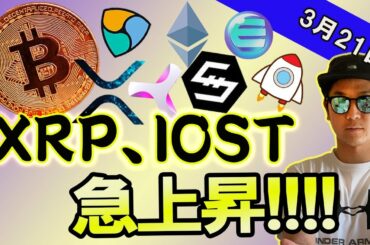 BTC類似チャートパターンを想定。XRP、IOST上昇！！【ビットコイン、イーサリアム、ネム、リップル、BCH、ADA、BNB、LTC、ENJ】