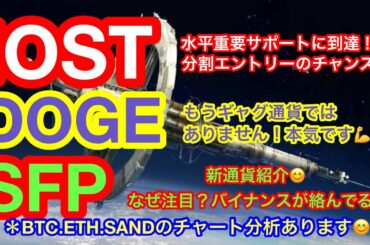 【仮想通貨 BTC.ETH.IOST.SAND.ADA.DOGE】ビットコイン&アルトコインは来週からが山場❗️チャート分析から読み取る買い場とは❗️❓注目されつつあるSFPとは❓バイナンスが鍵❗️