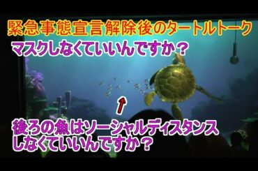 🔵【緊急事態宣言解除】後ろの魚はソーシャルディスタンスしなくていいんですか？【タートルトーク】東京ディズニーシー