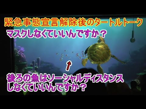 緊急事態宣言解除 後ろの魚はソーシャルディスタンスしなくていいんですか タートルトーク 東京ディズニーシー Yayafa