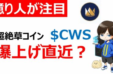 【仮想通貨CWS(Crowns)】超絶草コインCWS（バイナンス銘柄）に大口の仕込みか？