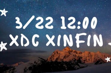 【仮想通貨】3/22、XDC xinfin network チャート雑談（bitrue）
