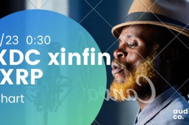 【仮想通貨】3/23、XDC xinfin network、XRP チャート雑談（bitrue）lang:JPN
