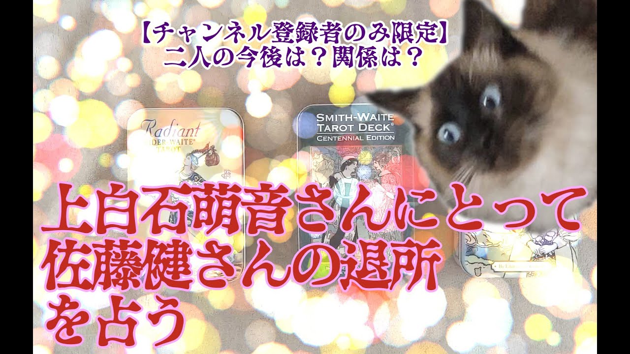 【タロットで仲良く】上白石萌音さんにとって佐藤健さんの退所を占う【パワーバランス】