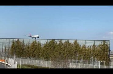 ④ 成田国際空港（成田空港）B滑走路 飛行機着陸シーン Landing Scene at Narita International Airport 【NRT/RJAA】