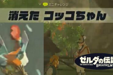 「ミニチャレンジ攻略」消えたコッコちゃん【ゼルダの伝説 BREATH OF THE WILD】