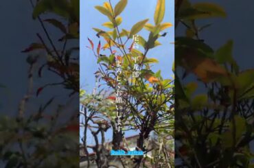 210328 Kenshi Okada Instagram Stories