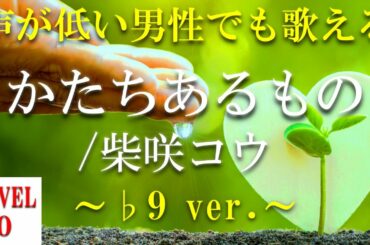 【声が低い人でも歌える?!】【歌ってみた?!】かたちあるもの／柴咲コウ  ～♭9 ver.～【+3のオク下】【音域：mid1C～mid2E(レベル0)】【フル】【歌詞付き】