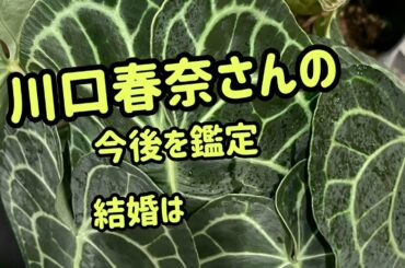 【五行陰陽姓名判断】川口春奈さん、結婚は？勝手に鑑定致しました