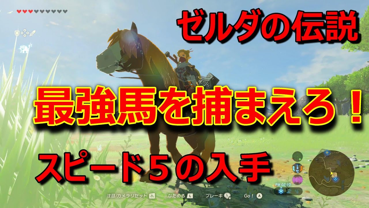 攻略 厳選 スピード５や最強馬を捕まえる方法 ゼルダの伝説 ブレスオブワイルド Yayafa