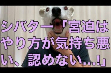【悲報】シバターが宮迫と朝倉未来にブチギレ!中田敦彦は認めても宮迫は認めない理由に説得力はある…?