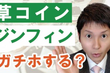 【草コイン検証2021】仮想通貨ジンフィンはハイブリッド！※終始ピンボケすいません