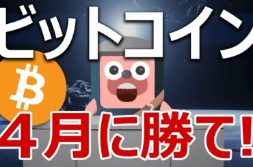 ビットコインは４月に勝て！クジラがやばい事になっている
