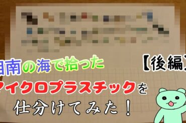 湘南の海で拾ったマイクロプラスチックを仕分けてみた！【後編】【あにゃもちゃんねる】