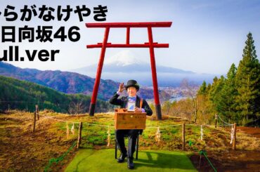 【日向坂46「ひらがなけやき」(Full.ver)】手回しオルガン/StreetOrgan(Reed Type)『富士山遥拝所』【Hinatazaka46】