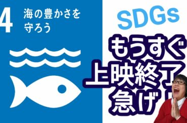 「プラスチックの海」観てきた！まもなく終了するからはよ観に行って～！