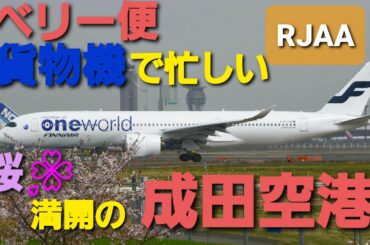 ✈✈RJAA成田空港 貨物機とベリー便で忙しい A滑走路 (Finnair)Marimekko kivet livery  MD-11F (Austrian Airlines)Boeing 777