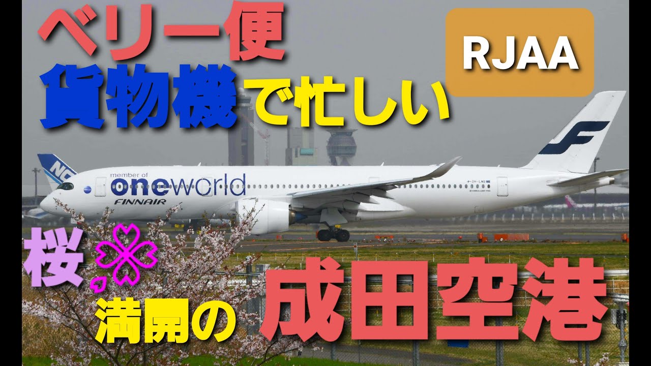 ✈✈RJAA成田空港 貨物機とベリー便で忙しい A滑走路 (Finnair)Marimekko kivet livery MD-11F (Austrian Airlines)Boeing 777 ✈✈RJAA成田空港 貨物機とベリー便で忙しい A滑走路 (Finnair)Marimekko kivet livery MD-11F (Austrian Airlines)Boeing 777
