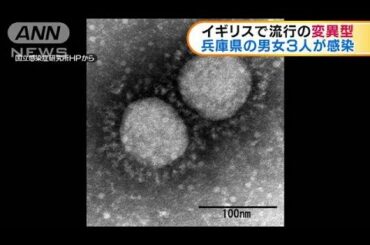 新型コロナ　兵庫県の3人が英で流行の変異型に感染(2021年2月11日)