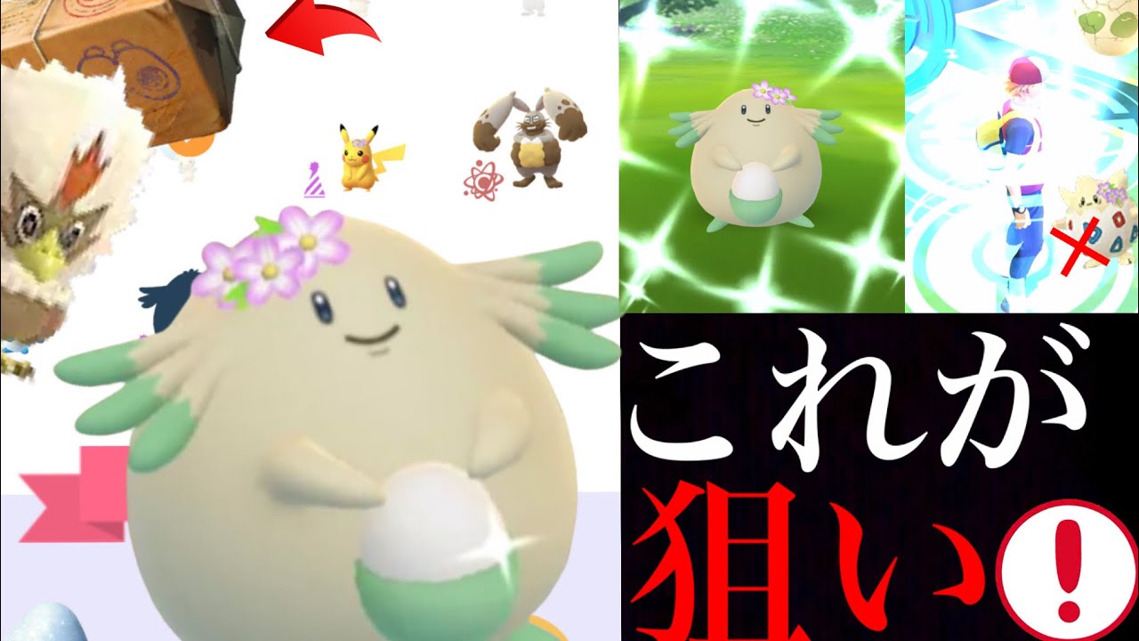 【ポケモンGO】絶対に狙うべきは〇〇タスク!?2kmタマゴのレア度も判明!色違いラッキーやワシボンも今こそゲットできるチャンス・・!【春イベント・メガミミロップ】 【ポケモンGO】絶対に狙うべきは〇〇タスク!?2kmタマゴのレア度も判明!色違いラッキーやワシボンも今こそゲットできるチャンス・・!【春イベント・メガミミロップ】