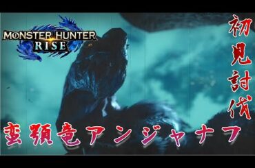 諸君！！アンジャナフみたいな人間にはなるな！　【モンハンライズ】Part.28