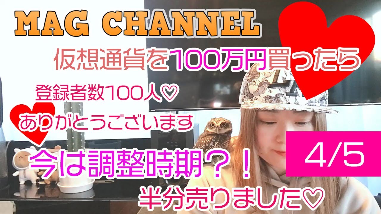 仮想通貨を100万円分買ったら、今は調整時期?!落ちて来たので半分売りました。 仮想通貨を100万円分買ったら、今は調整時期?!落ちて来たので半分売りました。