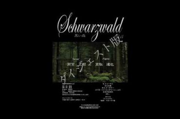 Schwarzwald vol.13 (ダイジェスト版) シューマン/詩人の恋より　Schumann: Dichterliebe
