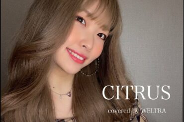 『CITRUS / Da-iCE (ドラマ「極主夫道」主題歌) 』covered by  WELTRA ウェルトラ