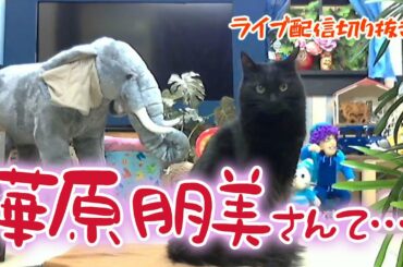華原朋美さんがアウトデラックスにでたので感想ライブ配信切り抜き Yayafa 華原朋美さんがアウトデラックスにでたので感想ライブ配信切り抜き Yayafa