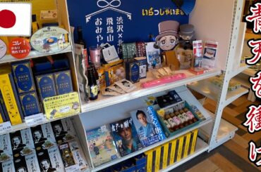 【東京さんぽ16】大河ドラマ『青天を衝け』渋沢栄一ゆかりの地『飛鳥山公園』　Tokyo walk 16