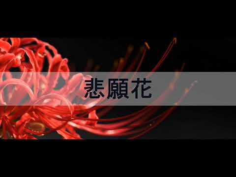 悲願花_山口百恵 (HIGANBANA_YAMAGUCHI MOMOE) VIETSUB 悲願花_山口百恵 (HIGANBANA_YAMAGUCHI MOMOE) VIETSUB