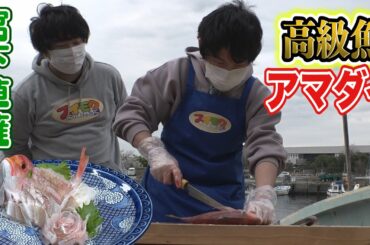 【宮下草薙】釣った高級魚を捌いていくぅー【トラウデン直美】