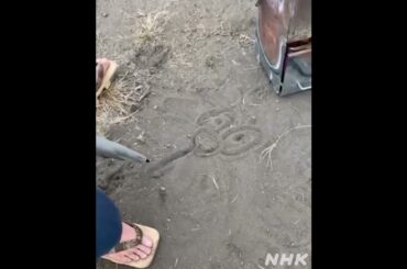 210409 青天を衝け Instagram Kenshi Okada