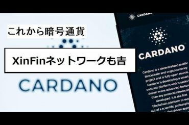 【仮想通貨】暗号資産レポート：XinFinネットワークは30～40円へ