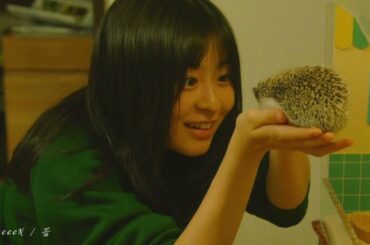 【この恋あたためますか】「 GReeeeN / 蕾 」④  森七菜 古川琴音 中村倫也 仲野太賀 石橋静河  恋あた - nightcore -