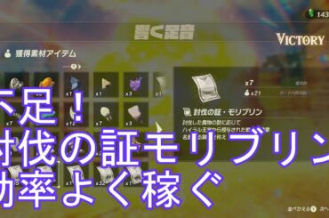 ゼルダ無双　厄災の黙示録　攻略　討伐の証・モリブリン　絶対的に不足してない？　結構稼いでると思うんだけど・・・