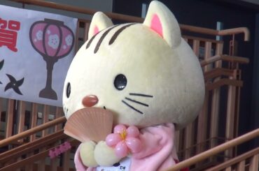 キャラひな祭りin甲賀