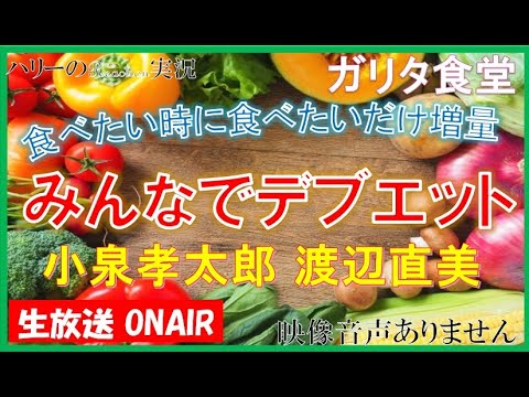 【めちゃイケ  めちゃめちゃイケてるっ 岡村隆史 矢部浩之】 小泉孝太郎 渡辺直美 食べたい時に食べたい物を みんなで デブエット ～ ガリタ食堂 全面プロデュース  ※映像音声ありません。。