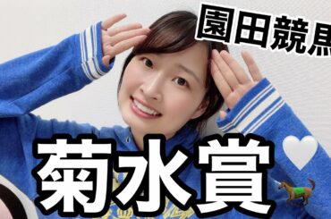 【園田競馬】菊水賞 重賞競馬予想【競馬女子】