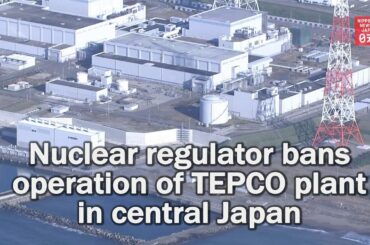 Nuclear regulator bans operation of TEPCO plant in central Japan